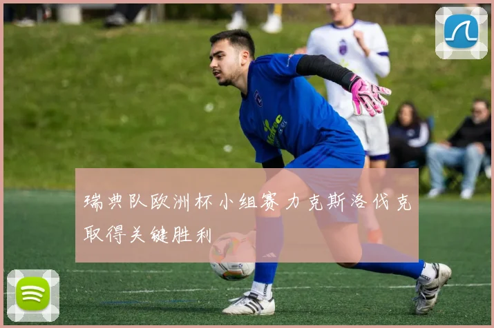 瑞典队欧洲杯小组赛力克斯洛伐克取得关键胜利