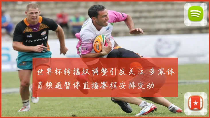 世界杯转播权调整引发关注 多家体育频道暂停直播赛程安排变动