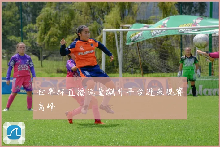 世界杯直播流量飙升平台迎来观赛高峰