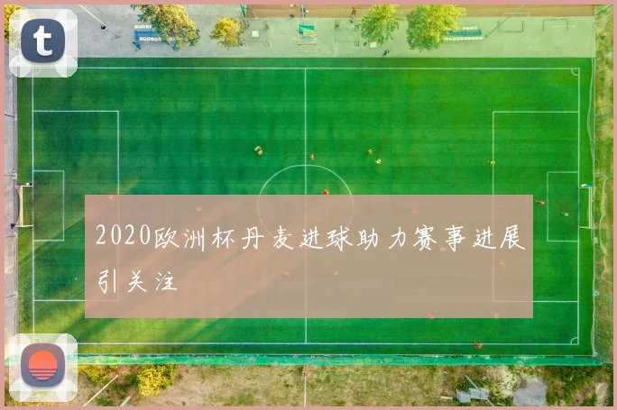 2020欧洲杯丹麦进球助力赛事进展引关注